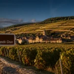 Plus beaux villages route des vins bourgogne entre Dijon et Santenay, route au milieu des vignes
